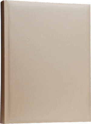 super 300 beez super 300 beez