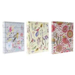 b46200snewflorid_2 b46200snewflorid_2