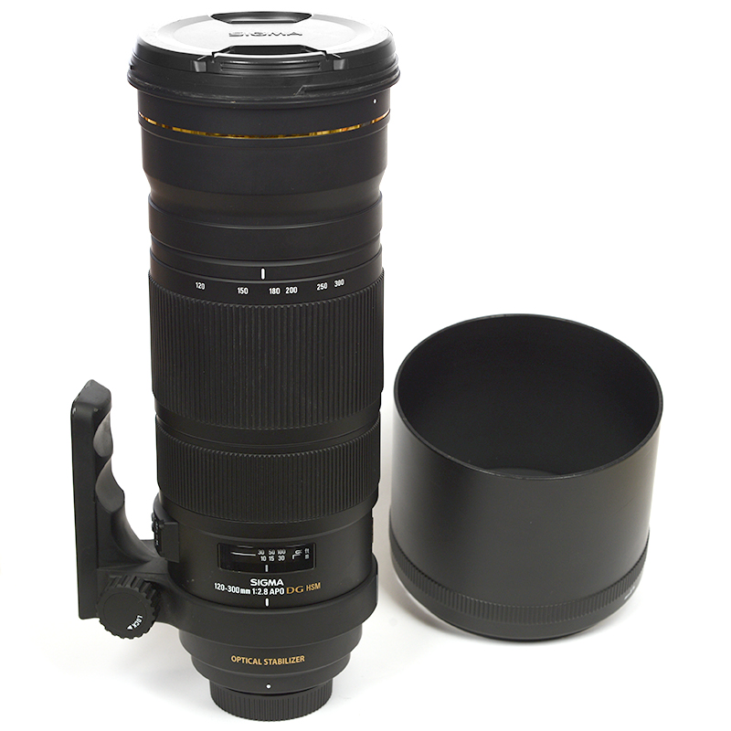 Sigma 12-300 nikon