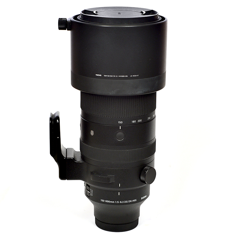 Sigma 150-600 sony