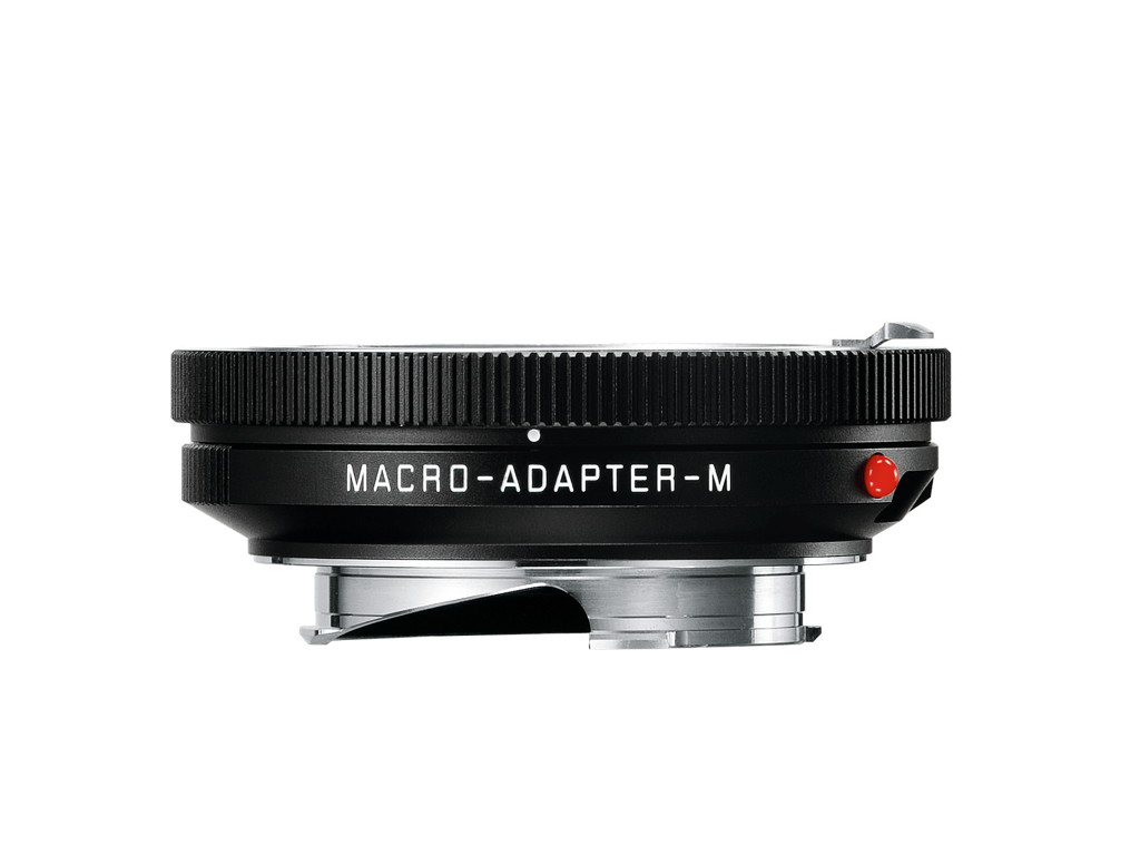 w7bsr2f1xbbzplkb3rno41faxfq8g7sx