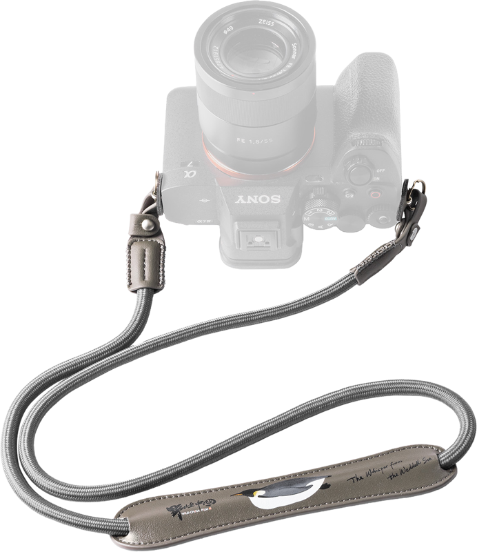 800q-01_136596 800q-01_136596